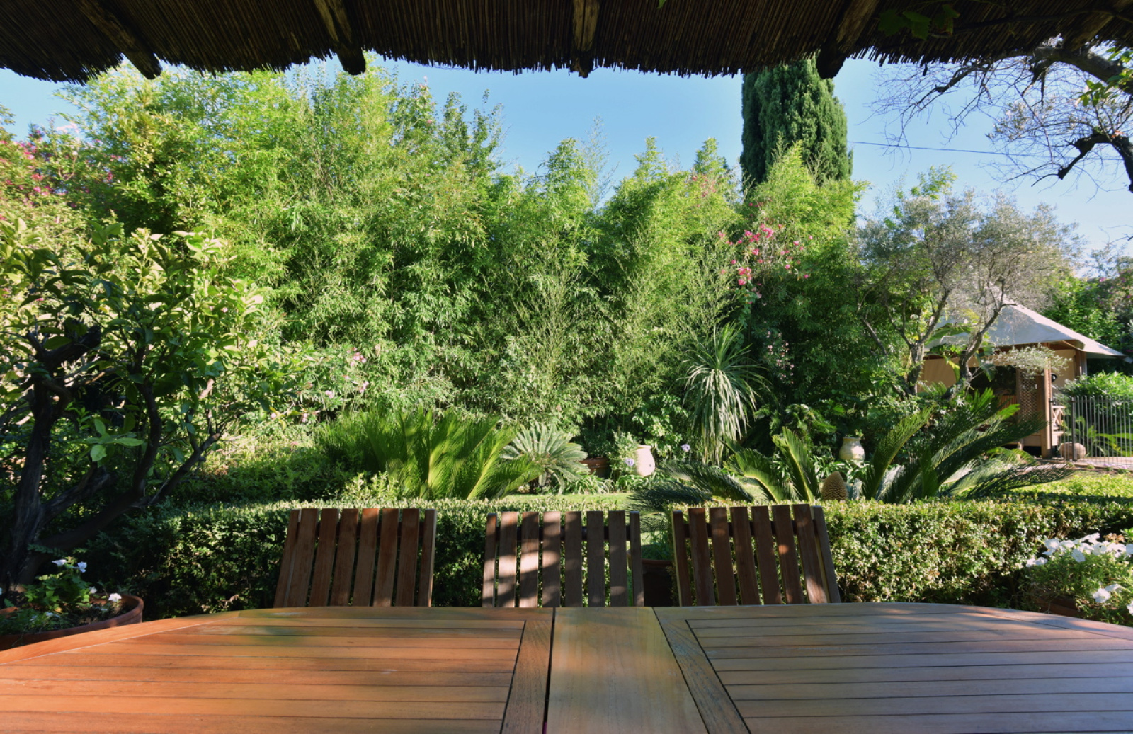Image_, Villa, Antibes, ref :1062