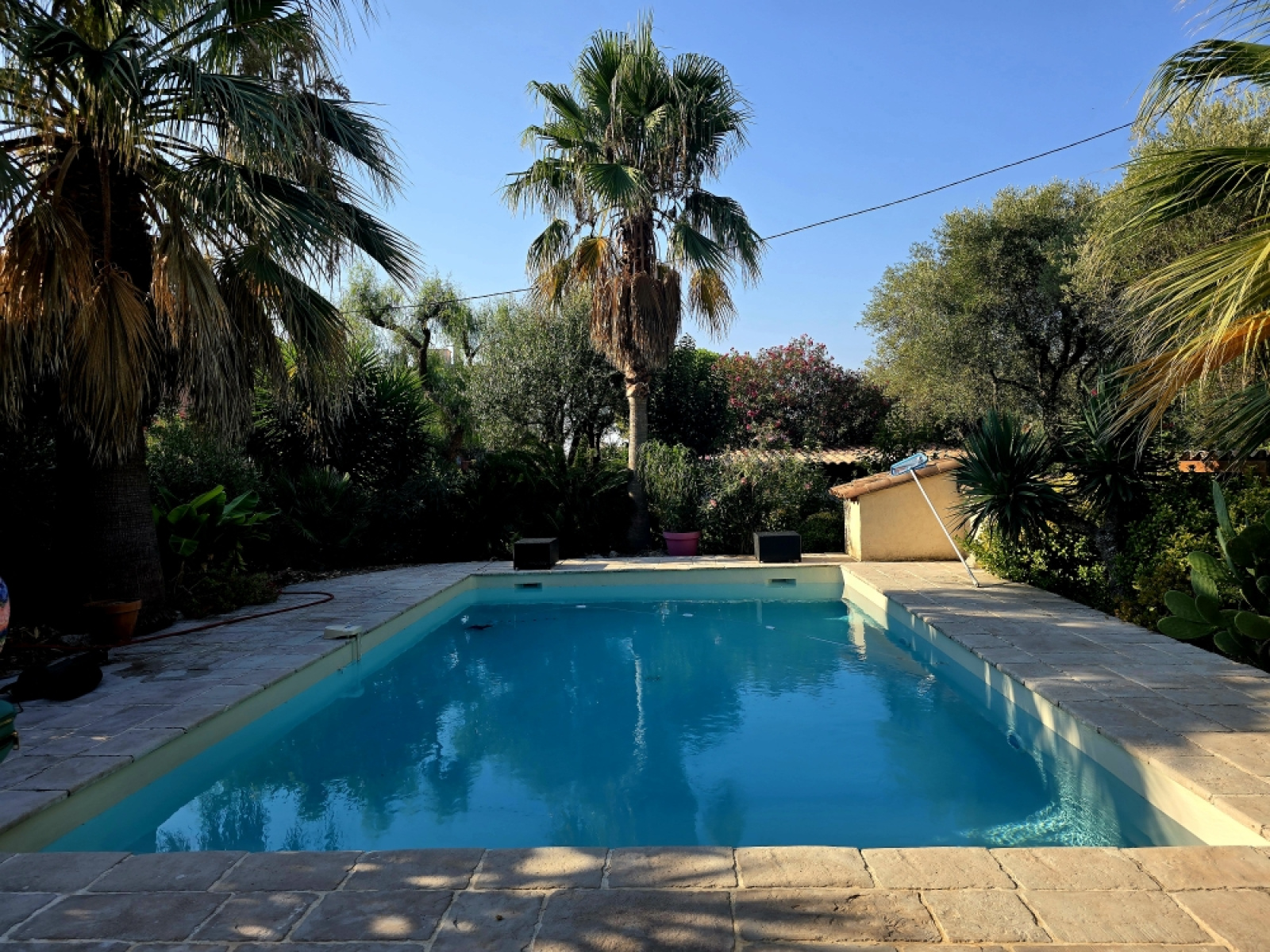 Image_, Appartement, Juan les Pins, ref :966