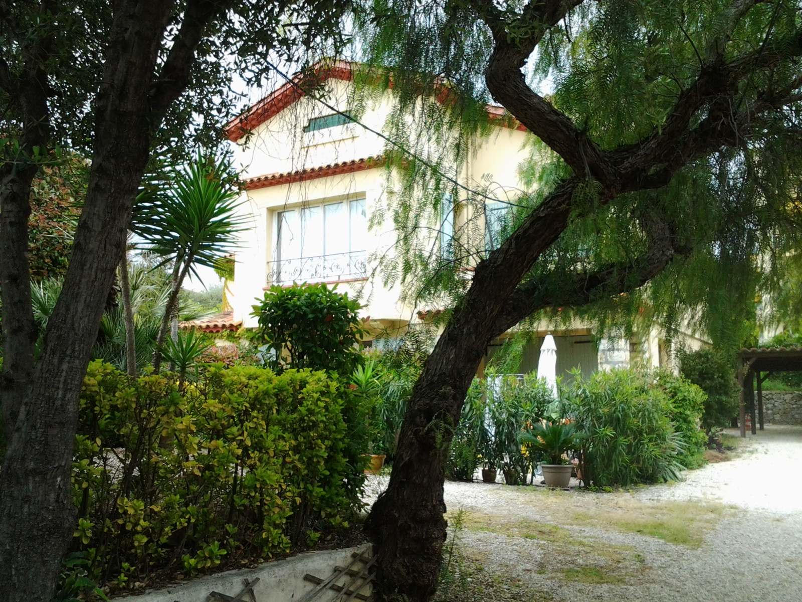 Image_, Appartement, Juan les Pins, ref :966