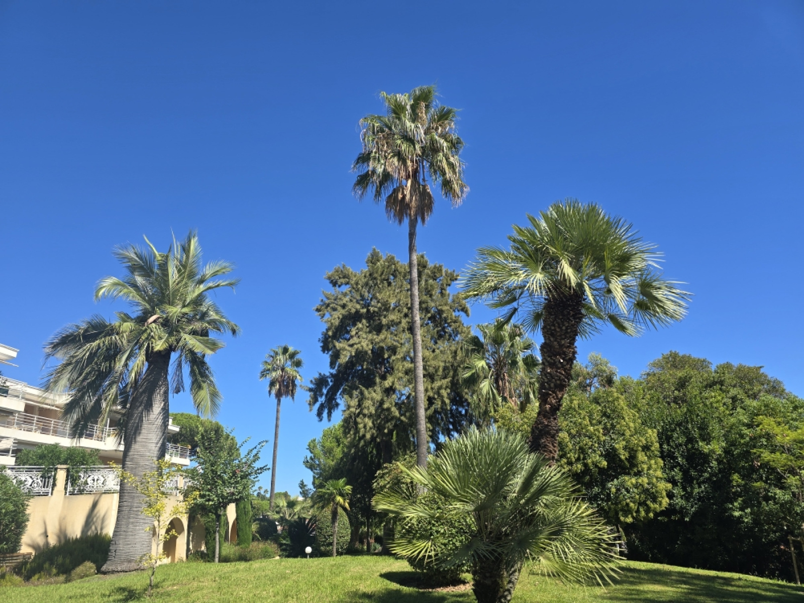 Image_, Rez de jardin, Antibes, ref :1129